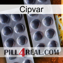 Cipvar 31